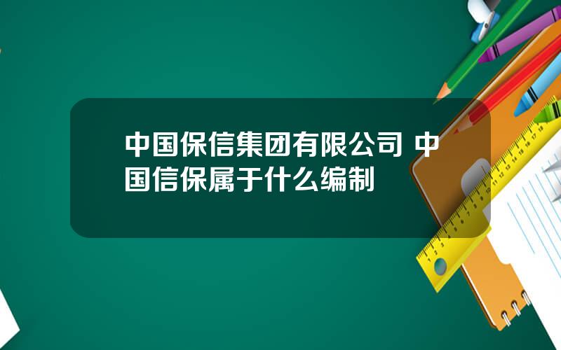 中国保信集团有限公司 中国信保属于什么编制